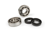 Crankshaft Bearings + Oil Seals Derbi