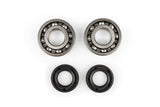 Crankshaft Bearings + Oil Seals Derbi