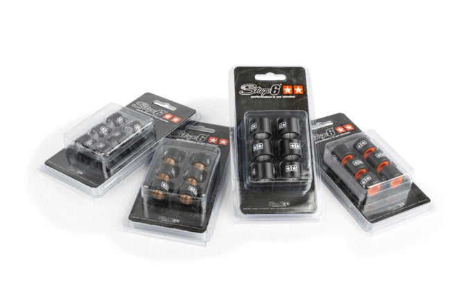 Variator Rullvikter (x6)