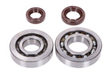 Crankshaft Bearings HD and Oil Seals FKM Naraku Kymco / SYM horizontal