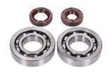 Crankshaft Bearings HD and Oil Seals FKM Naraku Honda X8R
