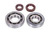 Crankshaft Bearings HD + Seals FKM Naraku Kymco / SYM horizontal