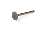 Intake Valve 69,5mm China 4-stroke / GY6 50cc