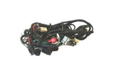 Cable Harness Peugeot Speedfight 3 2T