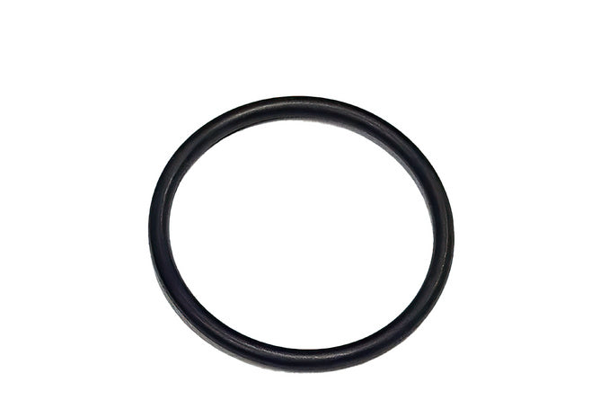 O-Ring 25x2.0 Sym Fiddle 3