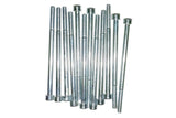 Hex Socket Screw M6x100 galvanized (x12)