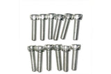 Hex Socket Screw M8x30 galvanized (x12)