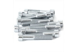 Hex Socket Screw M8x50 galvanized (x12)