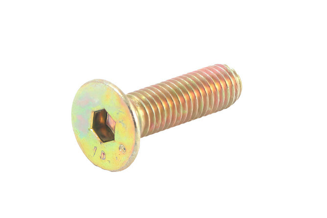 Skruv bromsskiva M8x30mm galvaniserad