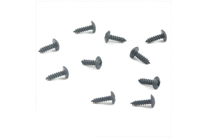 Skruvset 3,0x10mm svart (x10)