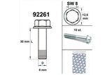 Engine Bolt wrench size 8 M6x 30 silver (x10)