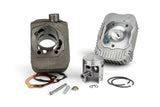 Cylinder Kit 65cc Malossi Racing d.43mm cast iron 10mm pin Piaggio Ciao