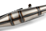 Exhaust Tecnigas Next R PGO Big Max