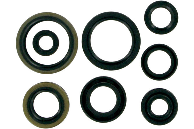 Oljefjäderset Moose Racing RM 125 1998-2000
