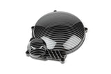 Ignition Cover carbon V2 AM6