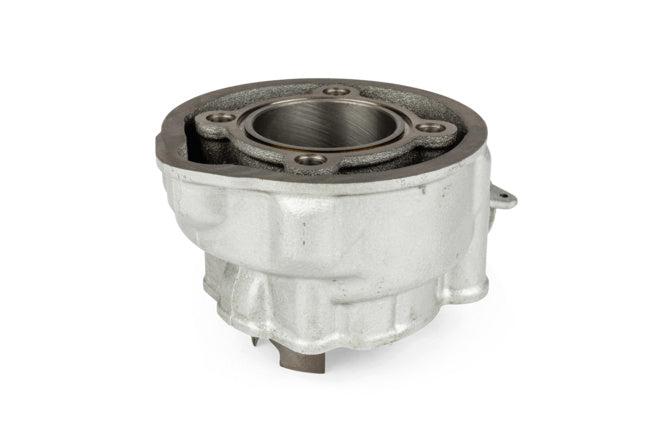 Cylinderkit Polini Sport 80cc gjutjärn Minarelli AM6