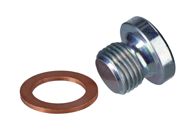 Cylinderhuvudpluggsremskruv Polini 1/8
