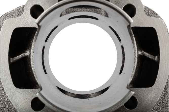 Cylinderkit Polini Corsa 70 12mm pin Minarelli vertikal