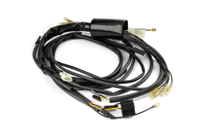 Kabelharness Rieju RR / Spike 2006