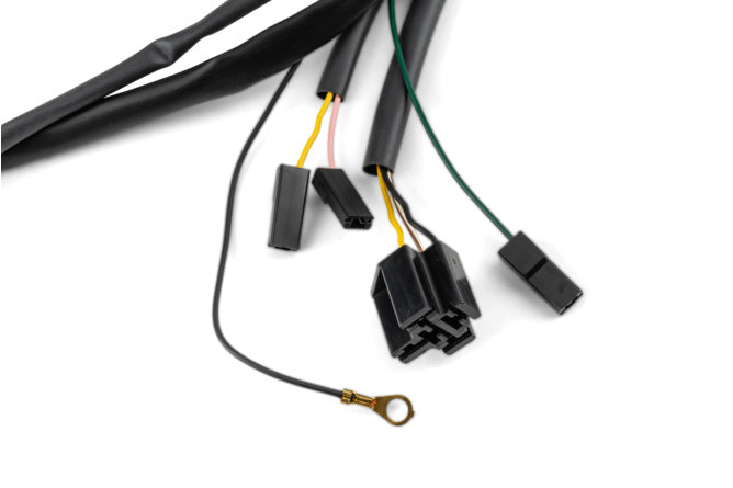 Kabelharness Rieju RR / Spike 2006