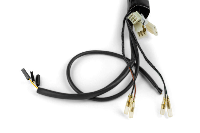 Kabelharness Rieju RR / Spike 2006