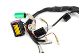 Cable Harness Rieju MRX / SMX Power Up 2008