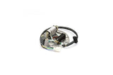 Ignition Stator Pit Bike YCF
