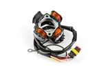 Ignition Stator Hidria Beta RR 2005 - 2012
