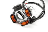 Ignition Stator Hidria Beta RR 2005 - 2012