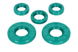 Oil Seals Schmitt Evolution FKM with twist direction Simson S50