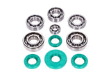 Ball Bearing Set metal cage C3 with FKM oil seals Schmitt Evolution with direction of twist Simson M500