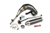 Exhaust with silencer carbon Giannelli Generic Trigger