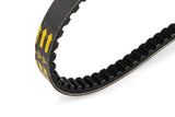 Drive Belt Malossi X Special Minarelli long