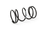 Torque Spring Malossi Racing Piaggio / Peugeot