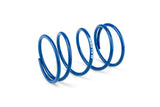 Torque Spring Malossi Racing Piaggio / Peugeot