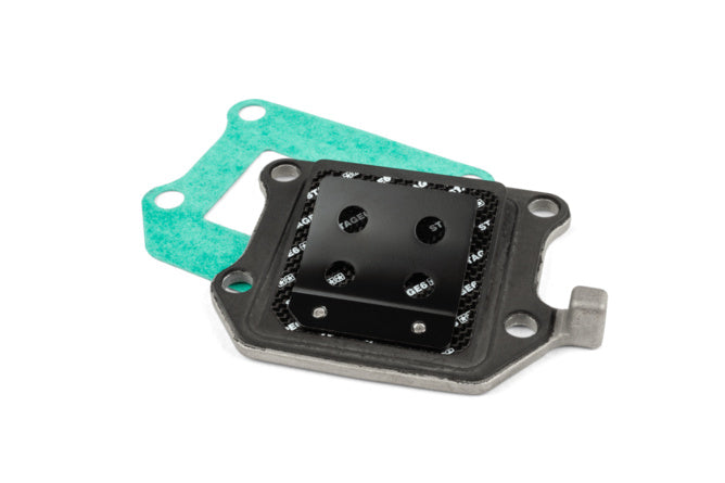 Reed ventil Stage6 Viton® Minarelli vertikal