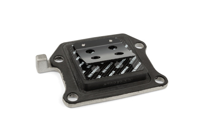 Reed ventil Stage6 Viton® Minarelli vertikal