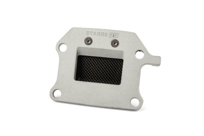 Reed ventil Stage6 Viton® Minarelli vertikal