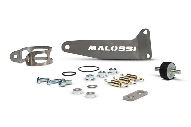 Avgassystem Malossi Supermoto MHR 100 AM6