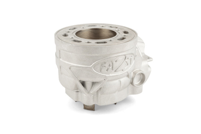 Cylinder Kit 2Fast 100cc Minarelli AM6