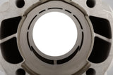 Cylinder Kit Malossi Testa Rossa 100 AM6