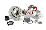 Cylinder Kit Malossi Testa Rossa 100 Derbi