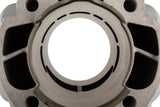 Cylinder Kit Malossi Testa Rossa 100 Derbi