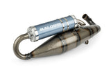 Exhaust Malossi MHR Racing maxi