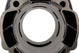 Cylinder Kit Polini Sport 70cc cast iron Piaggio LC