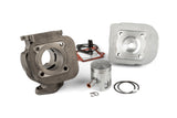 Cylinder Kit Polini Sport 50cc cast iron Minarelli vertical