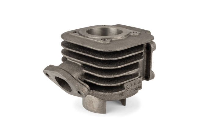 Cylinder Kit Polini Sport 50cc gjutjärn Minarelli vertikal