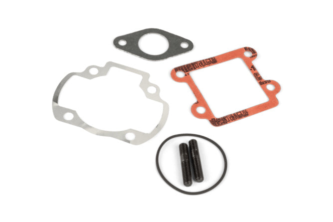 Cylinder Kit Polini Sport 50cc gjutjärn Minarelli vertikal