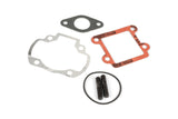 Cylinder Kit Polini Sport 50cc cast iron Minarelli vertical