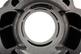 Cylinder Kit Polini Sport 50cc cast iron Minarelli vertical